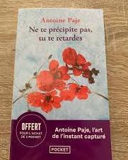 troc de troc livre - ne te précipite pas, tu te retardes - poche - a.paje image 0