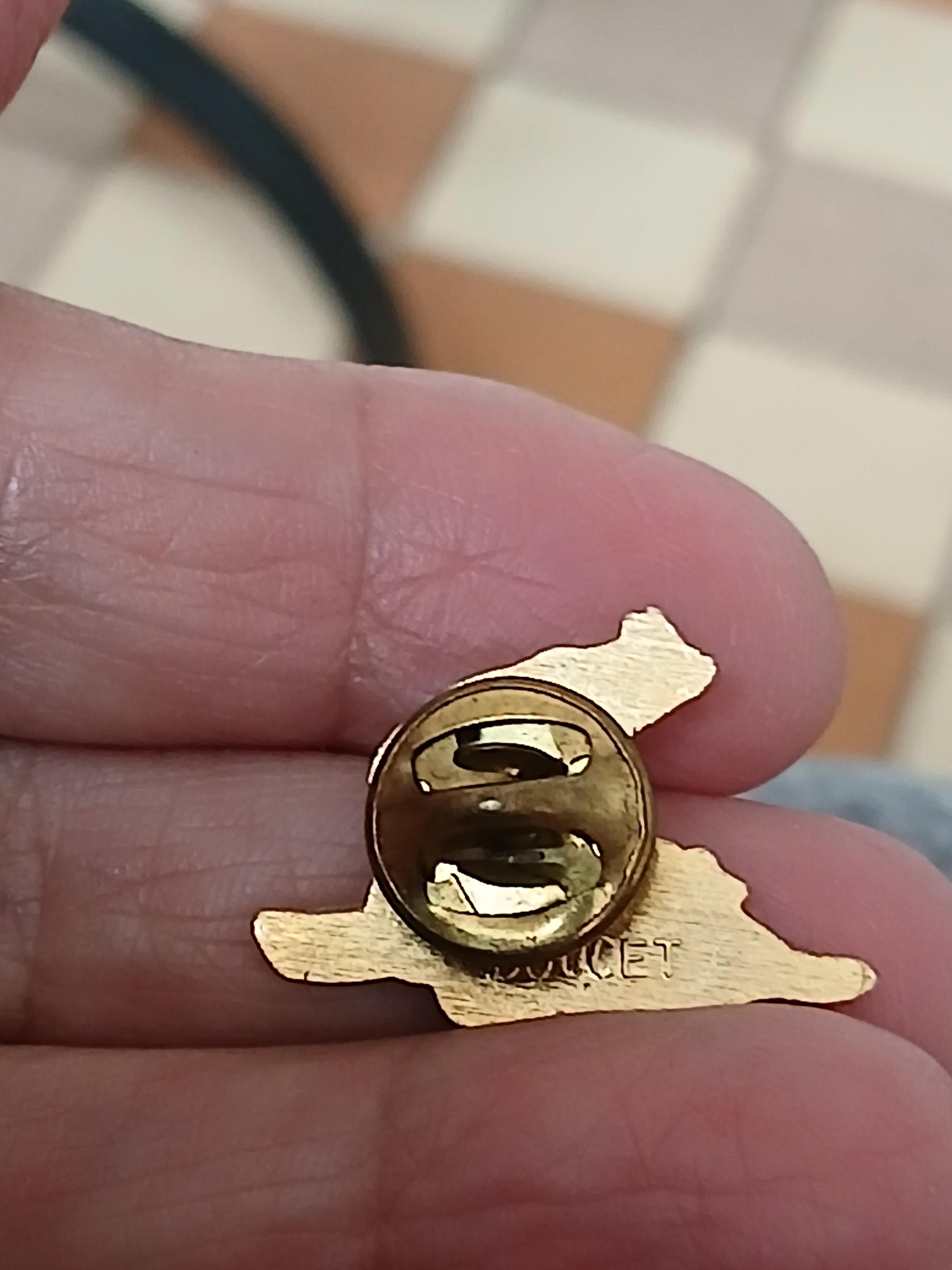 troc de troc reserver sophie  un  pins image 2