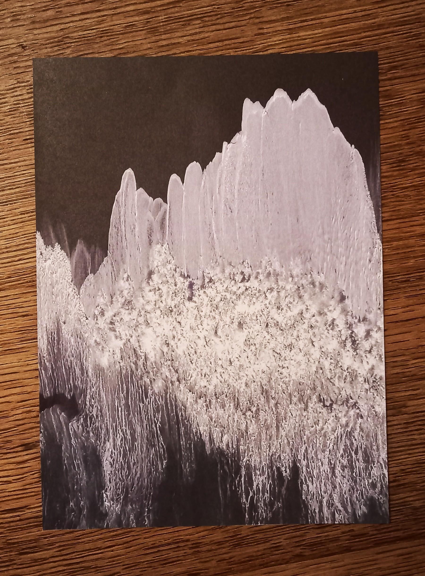 troc de troc image "mer de glace". image 0