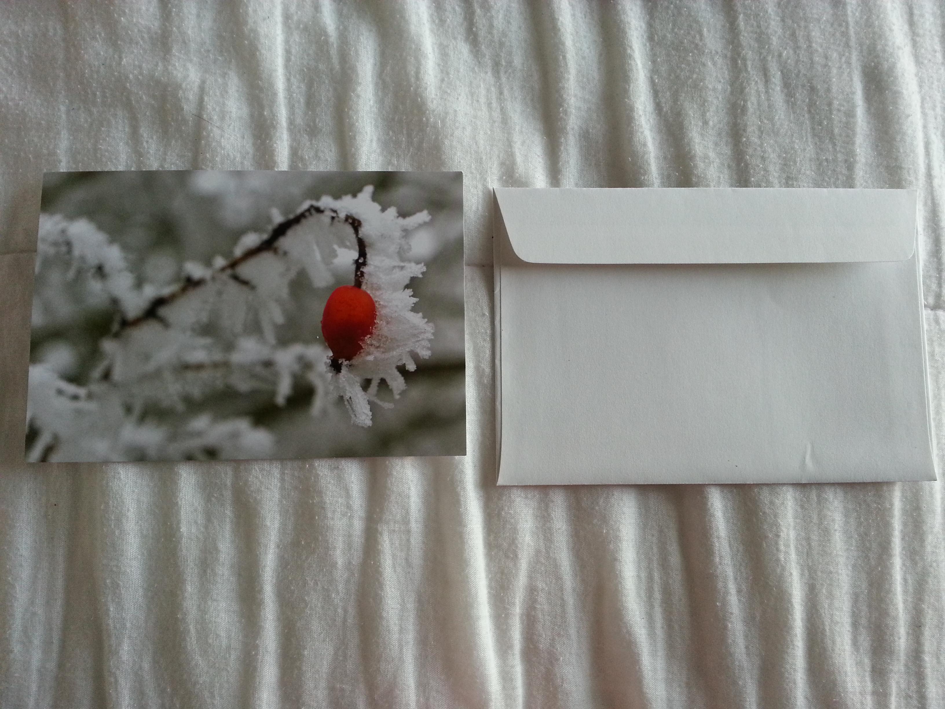 troc de troc carte "branche sous la neige & le givre" + son enveloppe blanche image 1