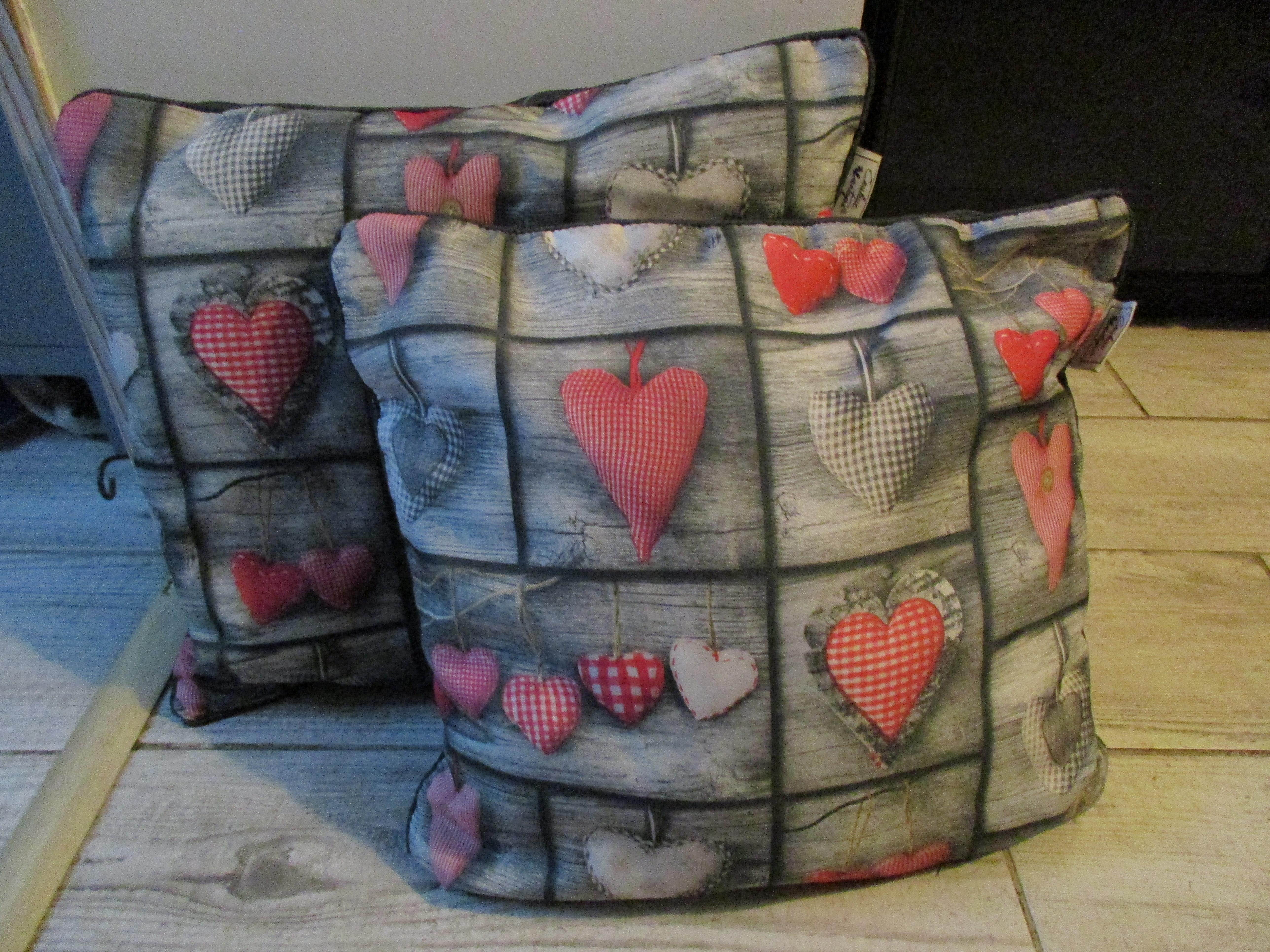 troc de troc 2 coussins 40 cms tbé marque couleur montagne image 0