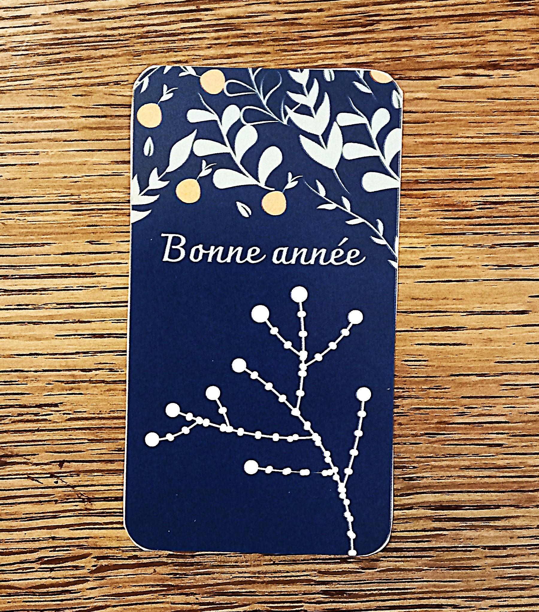 troc de troc petite carte "bonne année". image 0