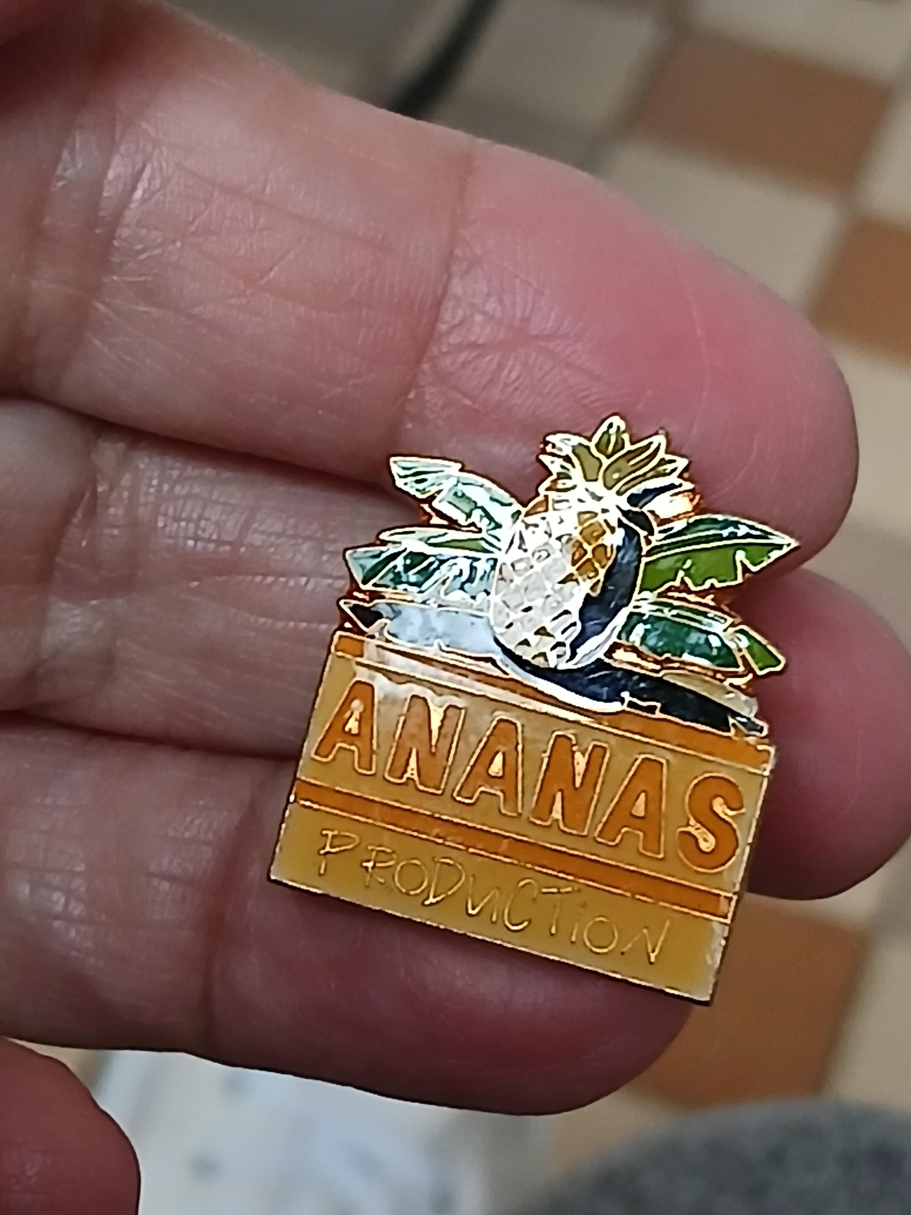 troc de troc un pins image 0