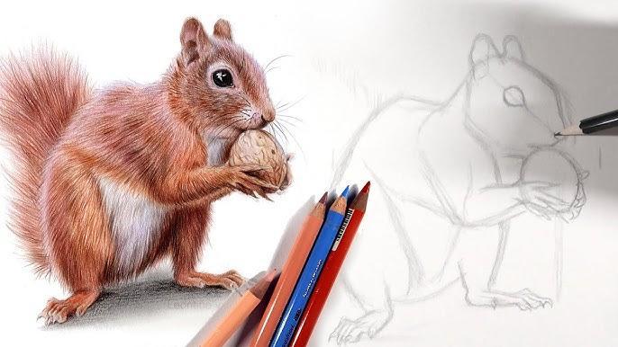 troc de troc gros taille-crayon pour gros diamètre image 0