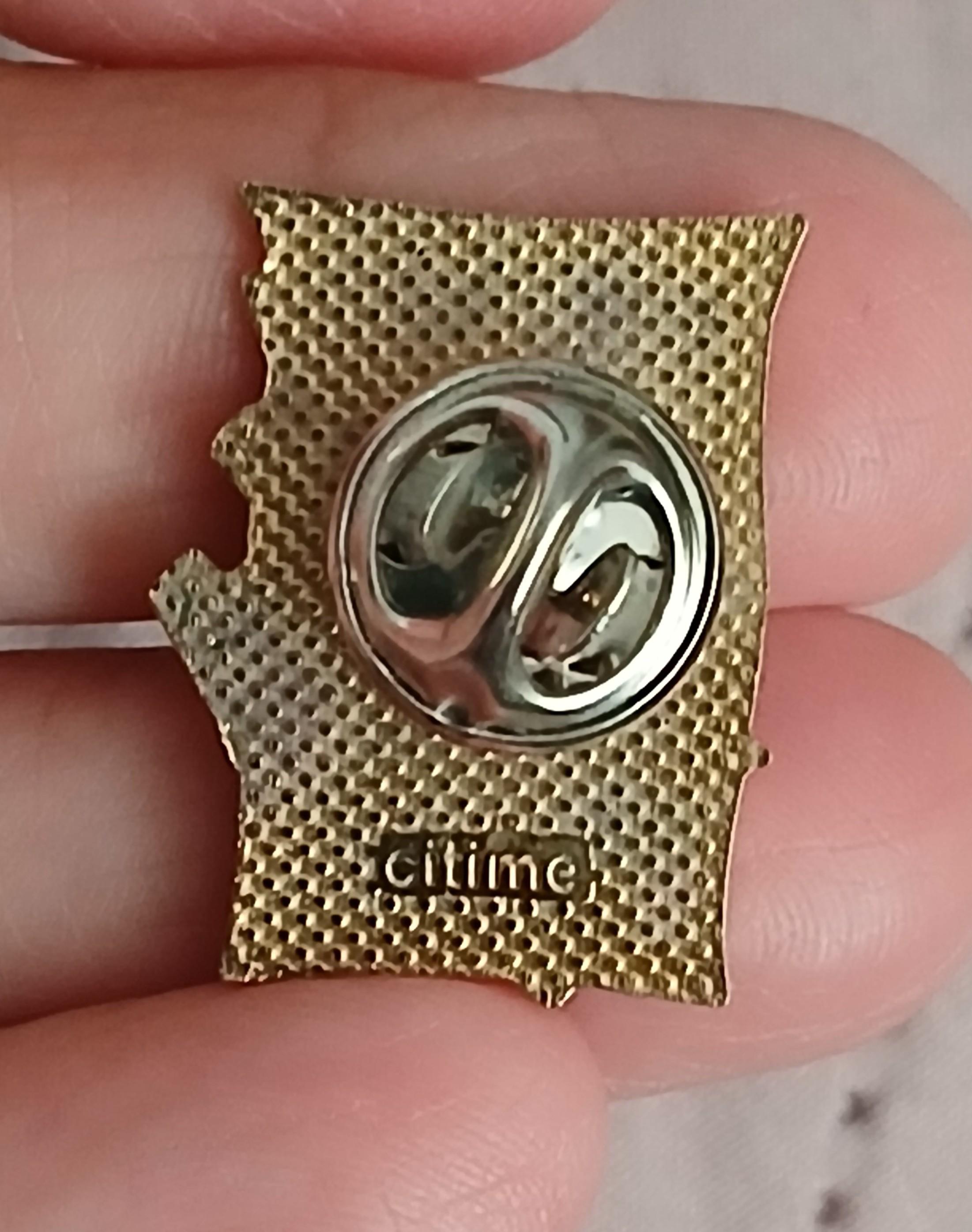 troc de troc un pins image 2
