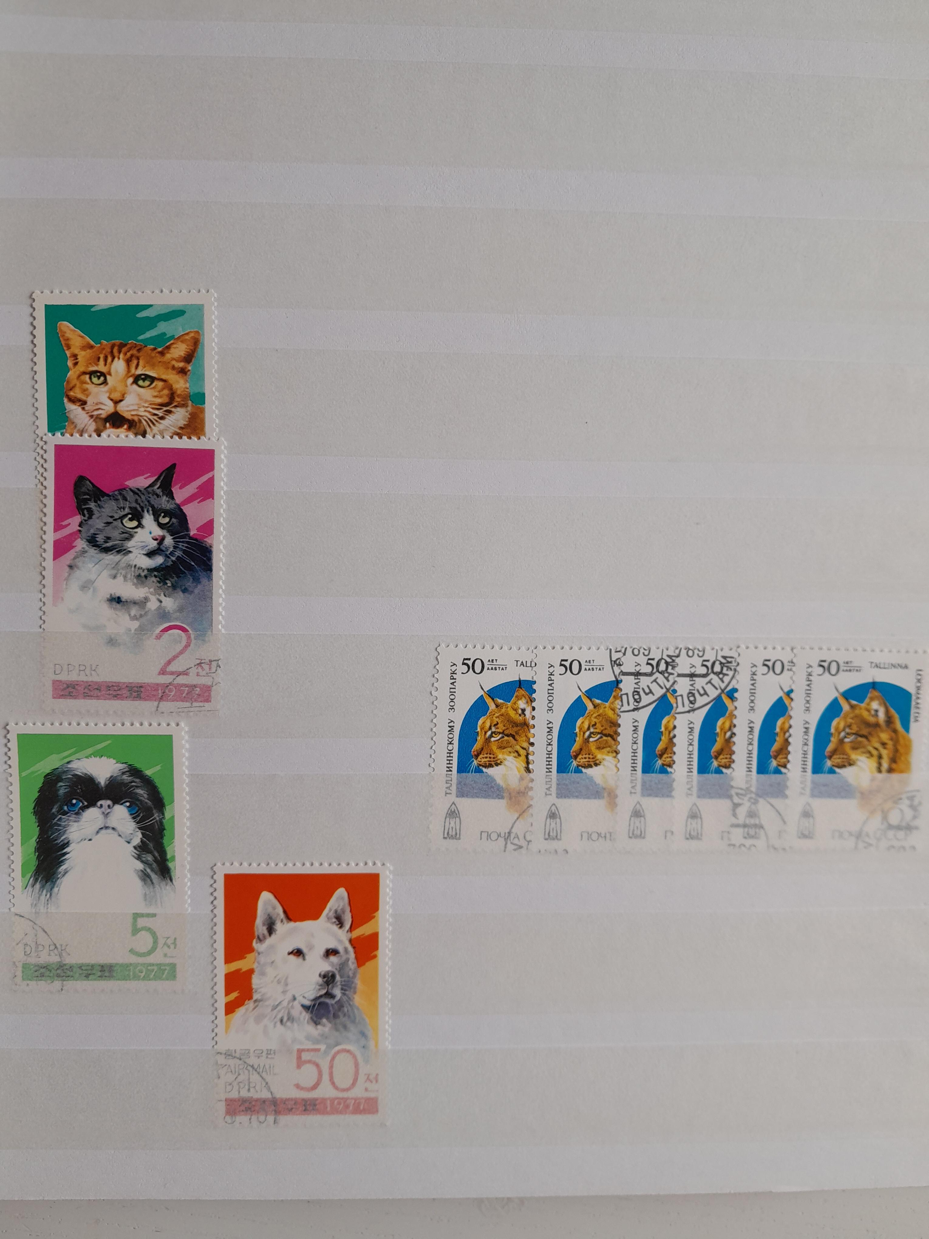 troc de troc echange timbres thème faune contre flyer uniquement image 2