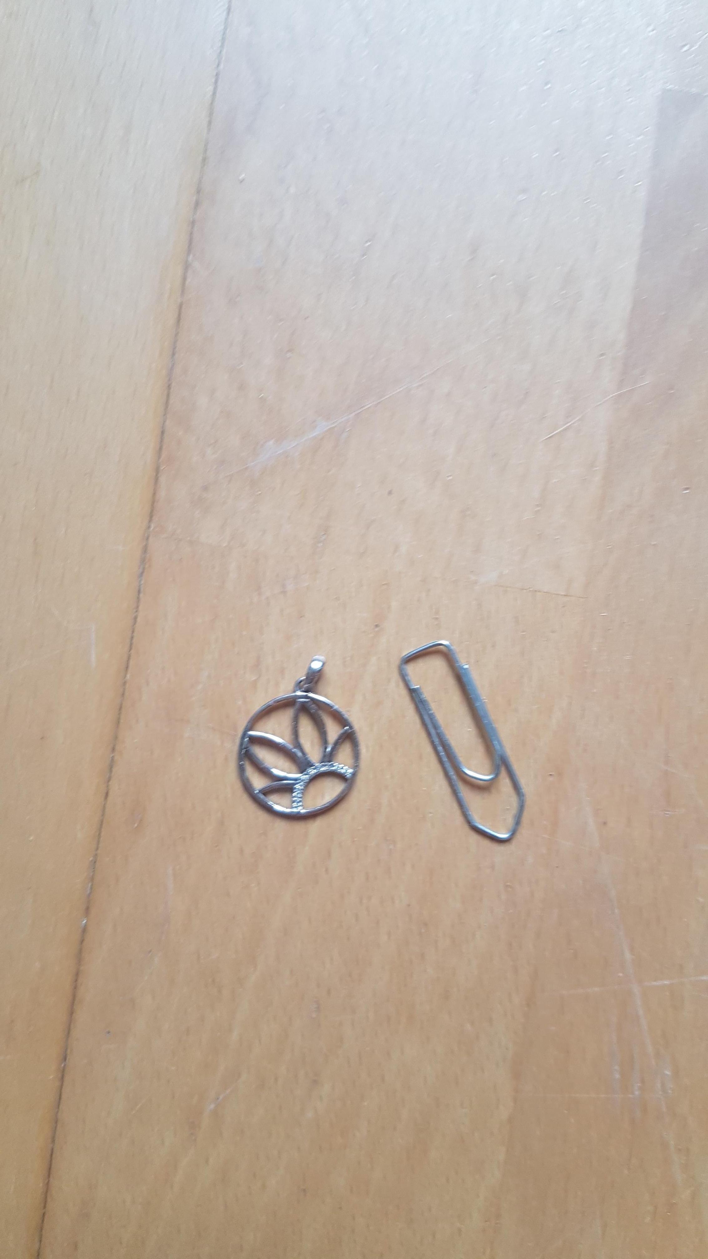 troc de troc petit pendentif fantaisie image 0