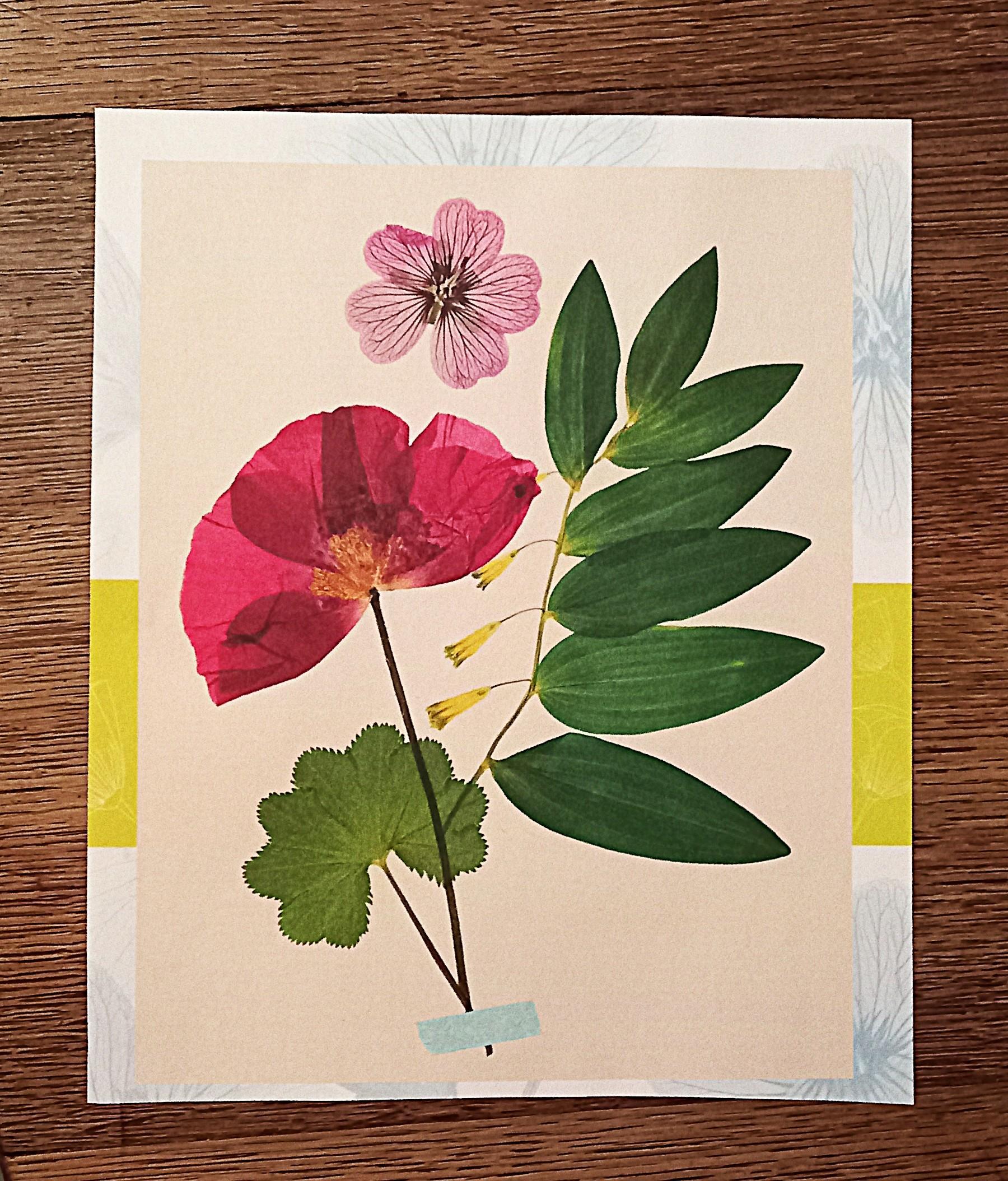 troc de troc affiche "l'herbier". image 0