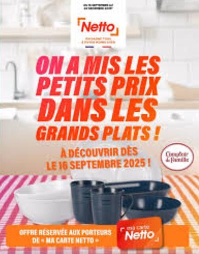 troc de troc lot 10 vignettes netto promo en cours comptoir de famille -  validité 04/01/26 image 0