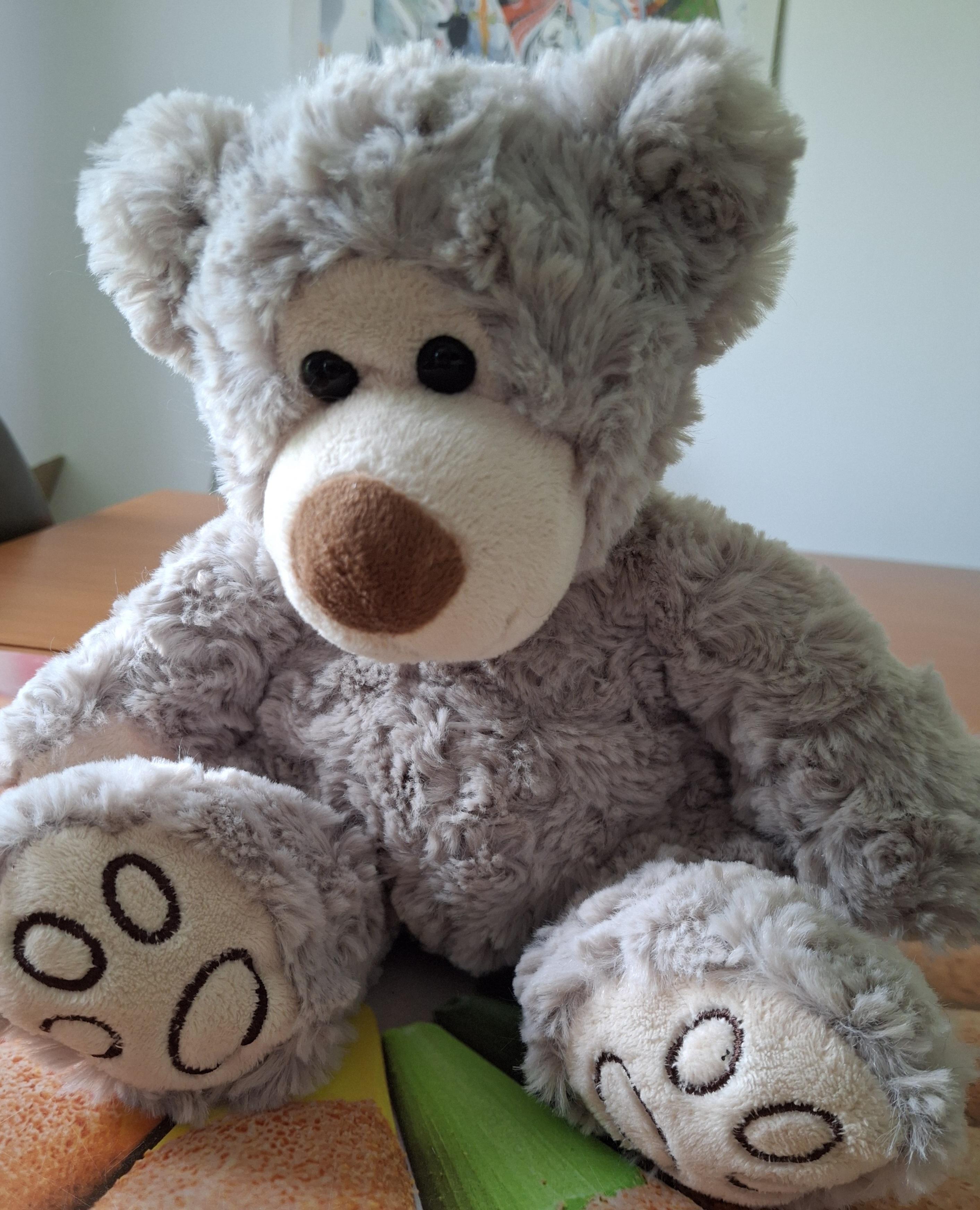 troc de troc peluche ourson image 0