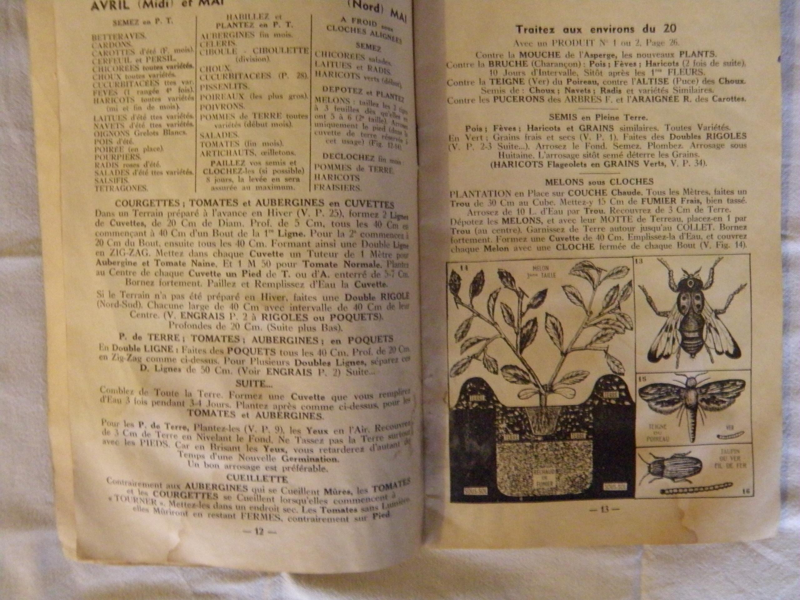 troc de troc petit livret, guide de jardinage 1964 image 2