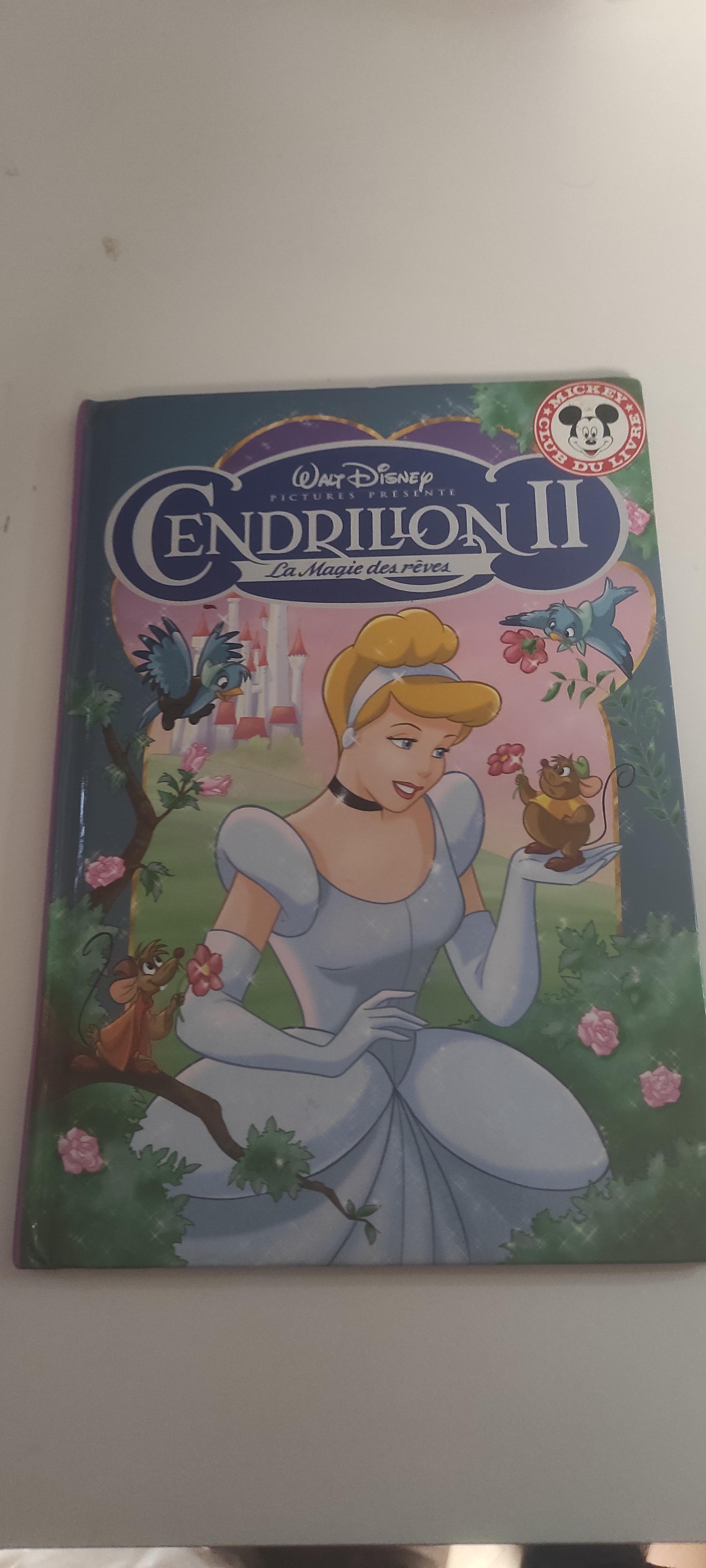 troc de troc cendrillon 2 image 0