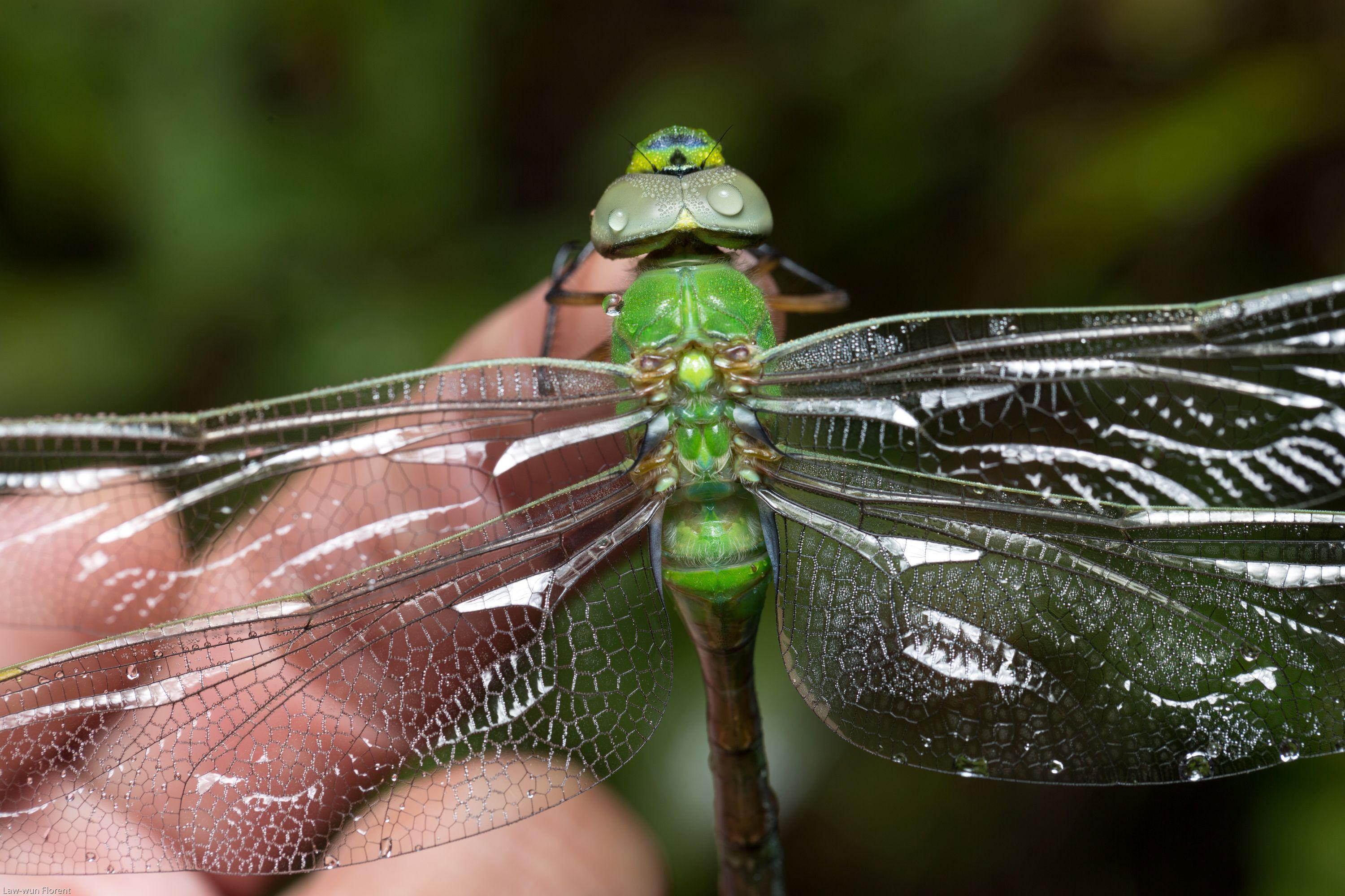 troc de troc cours de photographie image 1
