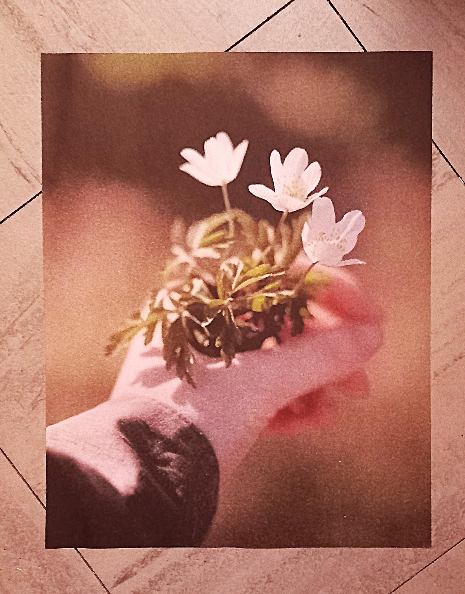 troc de troc affiche "pour toi". image 0