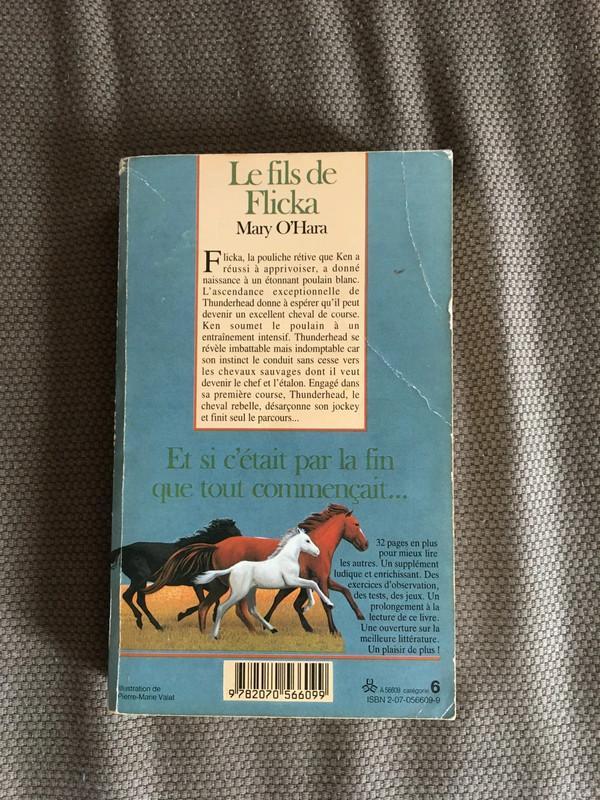 troc de troc le fils de flicka image 1