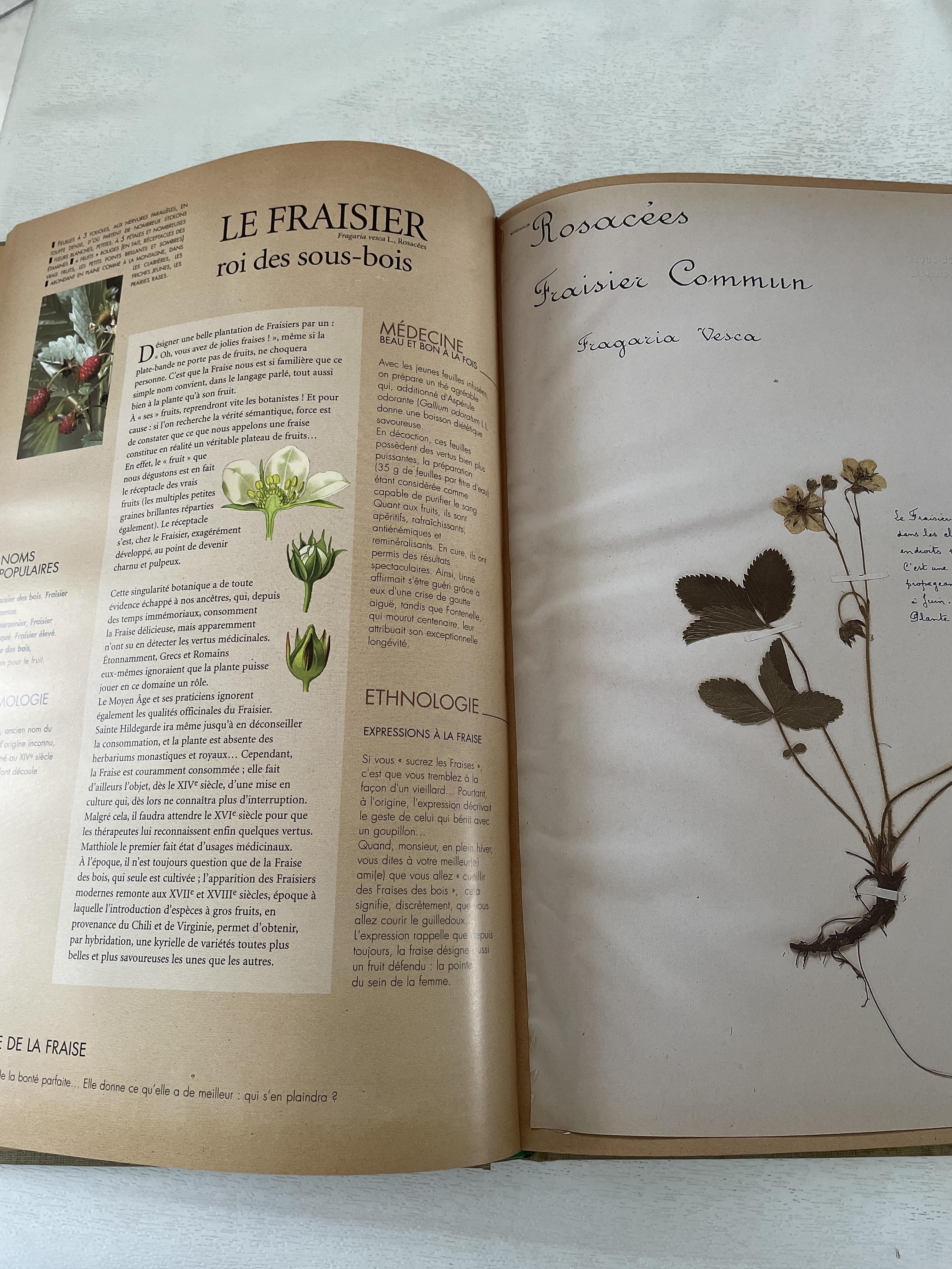 troc de troc l herbier oublié image 2