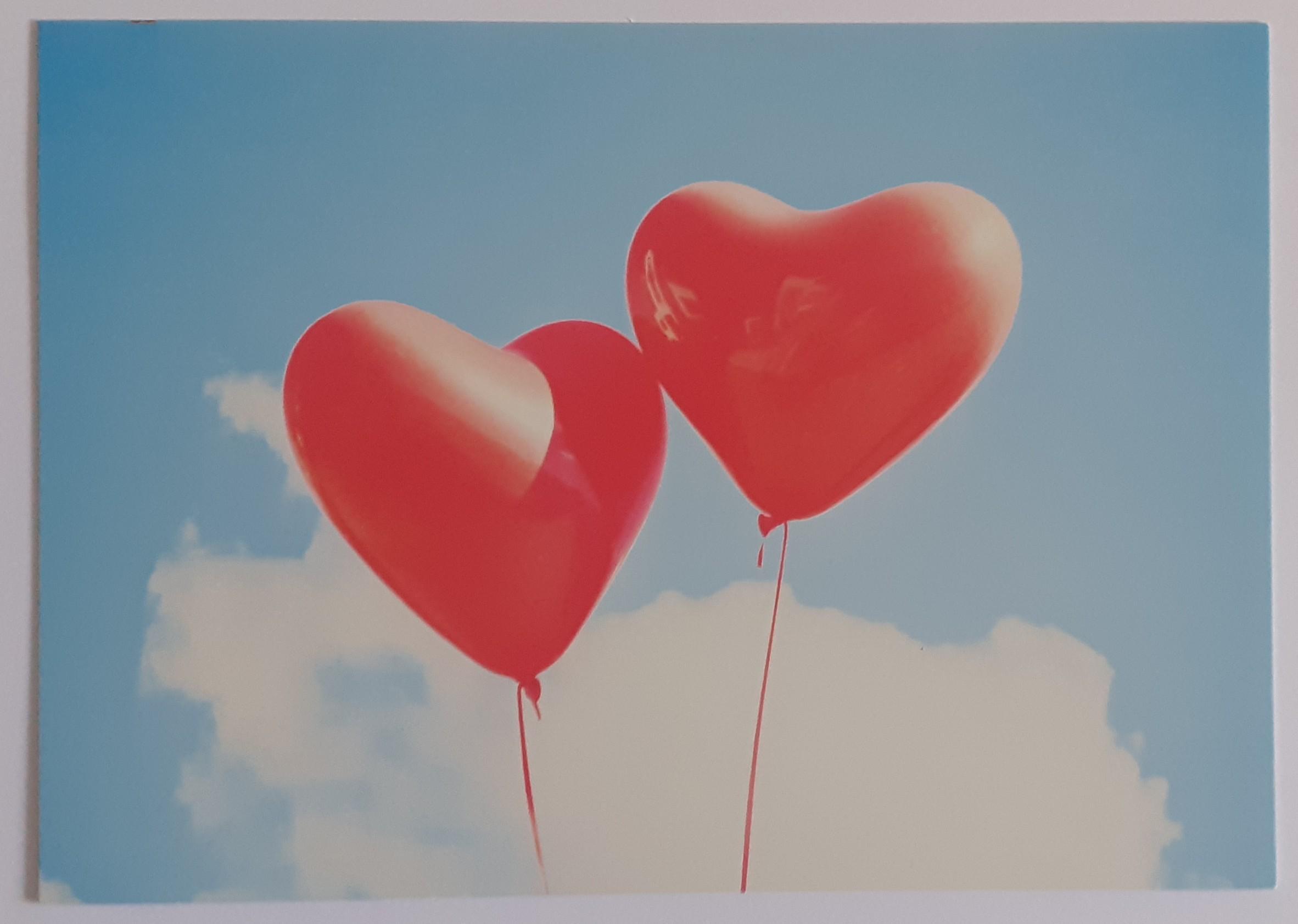 troc de troc reserve ginkgo carte postale amour 12 image 0
