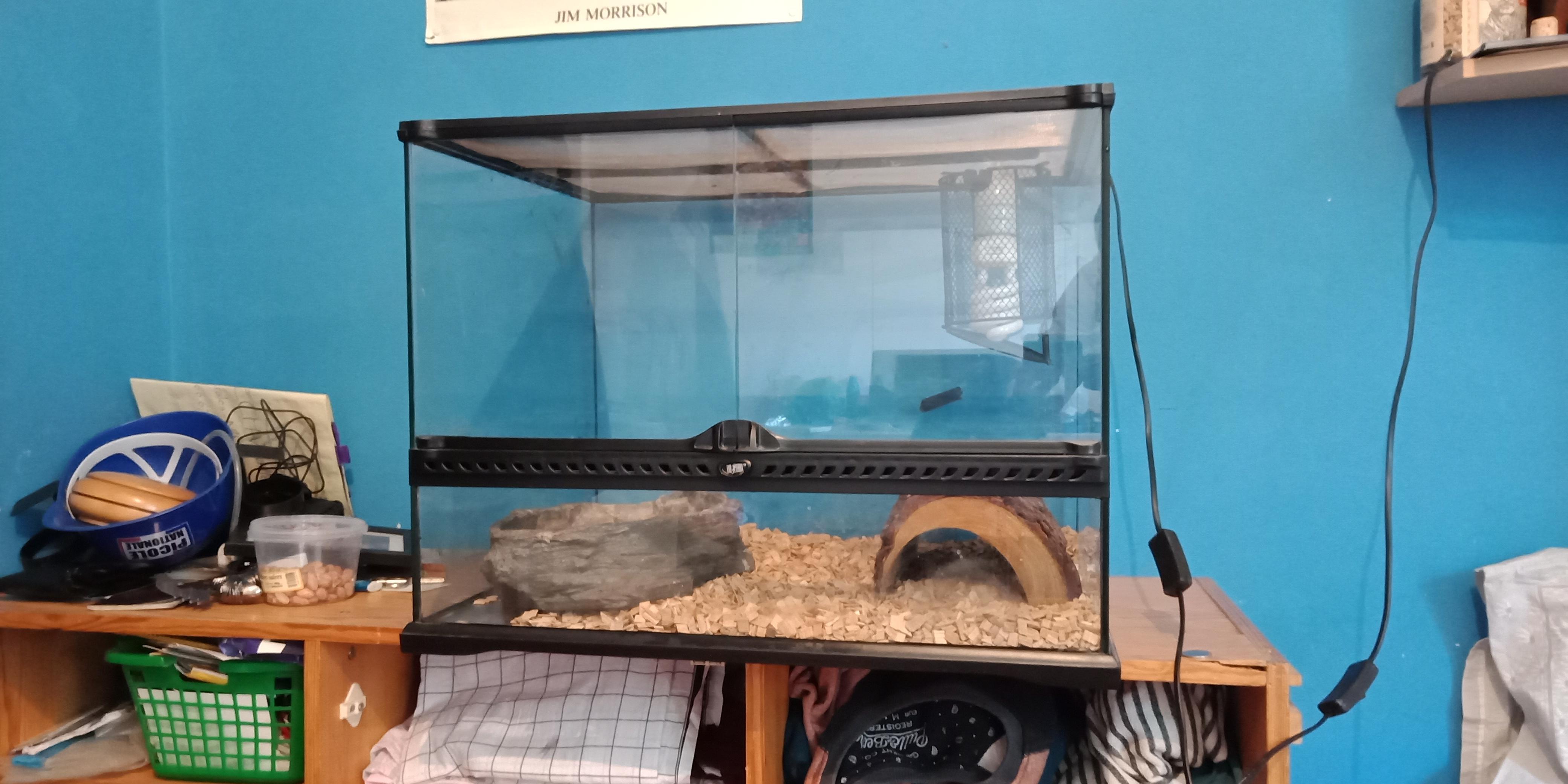 troc de troc echange terrarium image 0