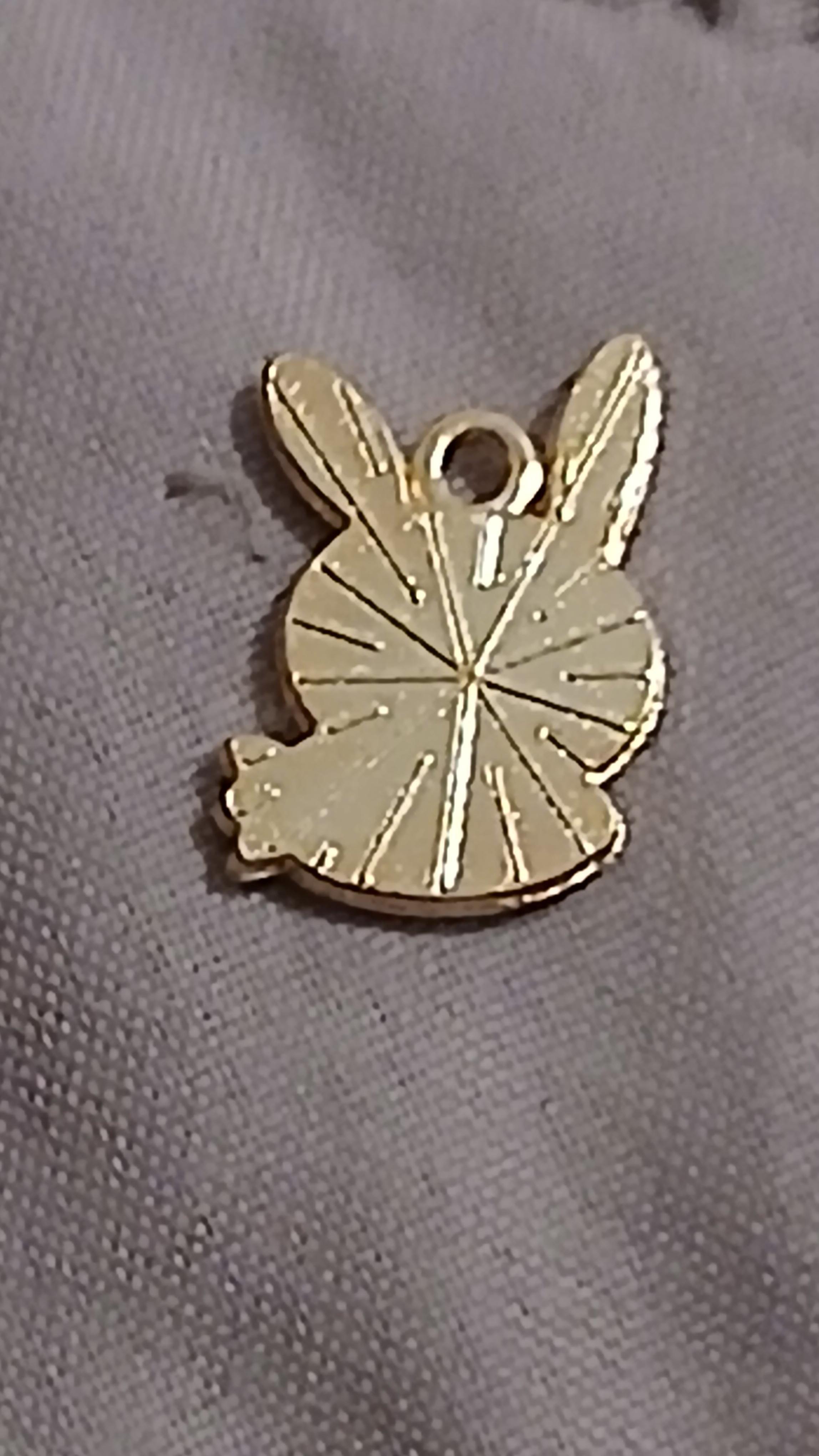 troc de troc reserver fidji  médaille image 1