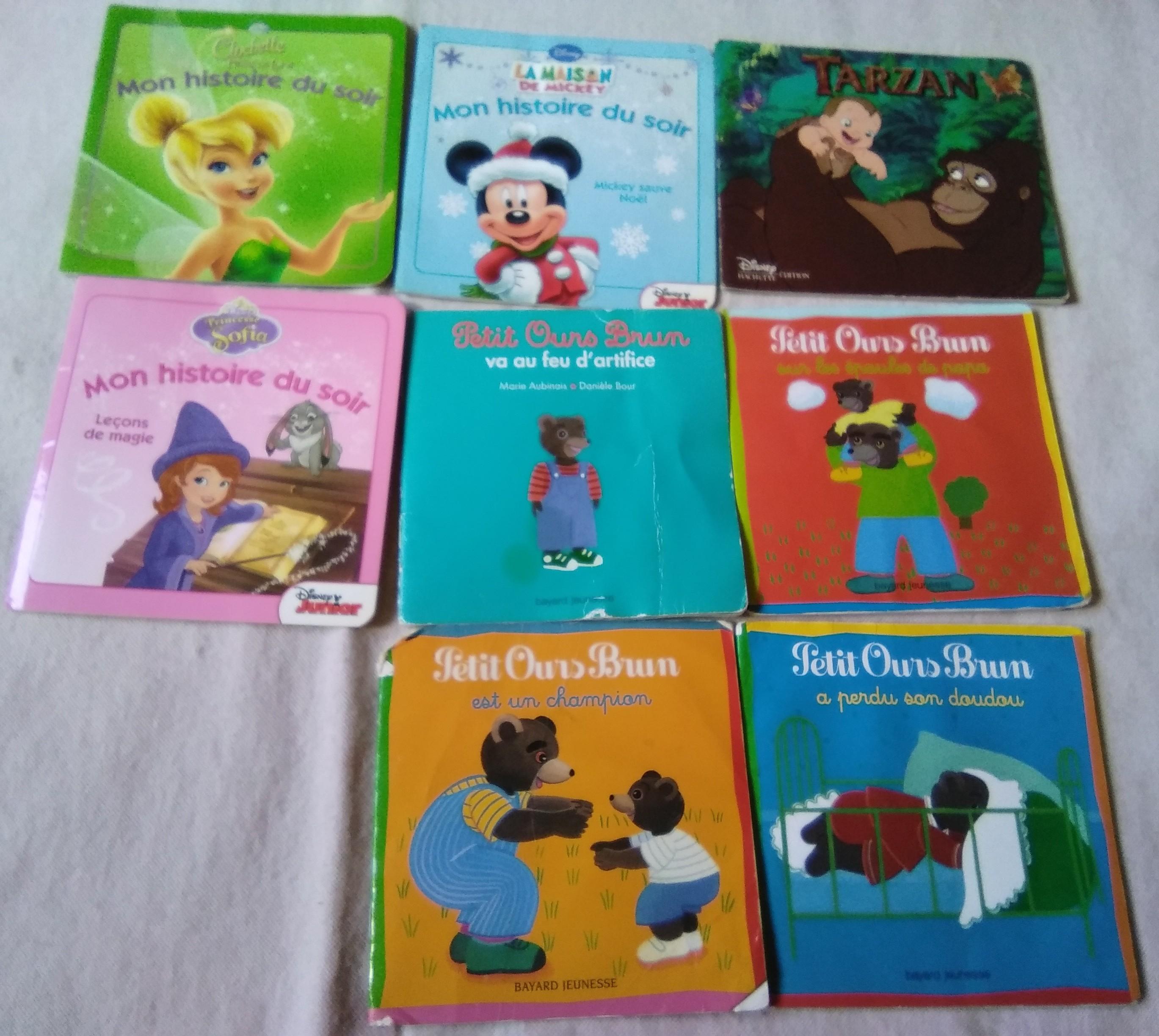 troc de troc reserve lot livres enfant, bon état image 0