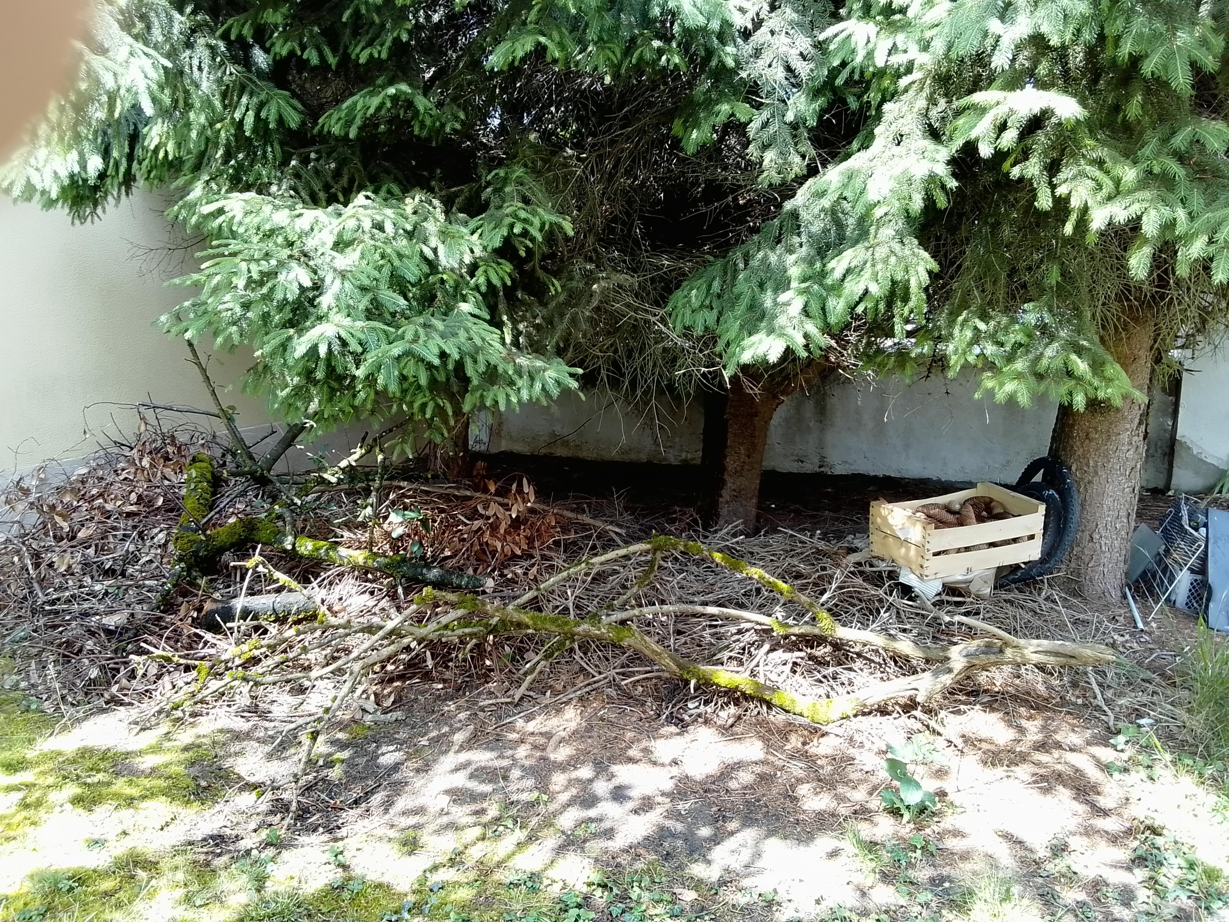 troc de troc bois de chauffage image 0