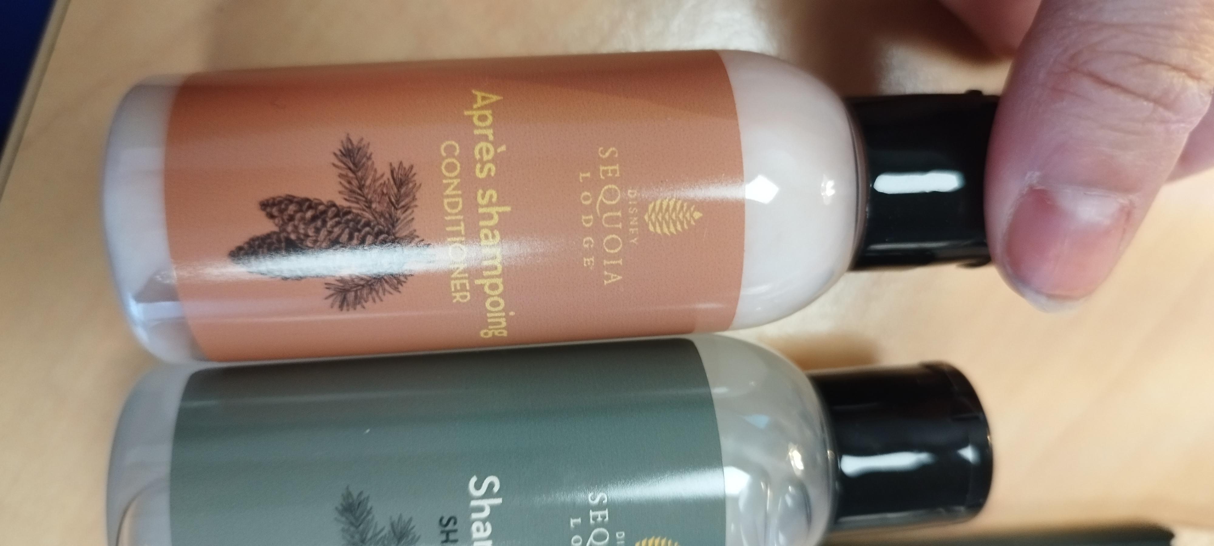 troc de troc 2 flacons d'hôtel disneyland image 1