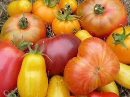 troc de troc 25 graines de tomates en mélange de variétés image 0