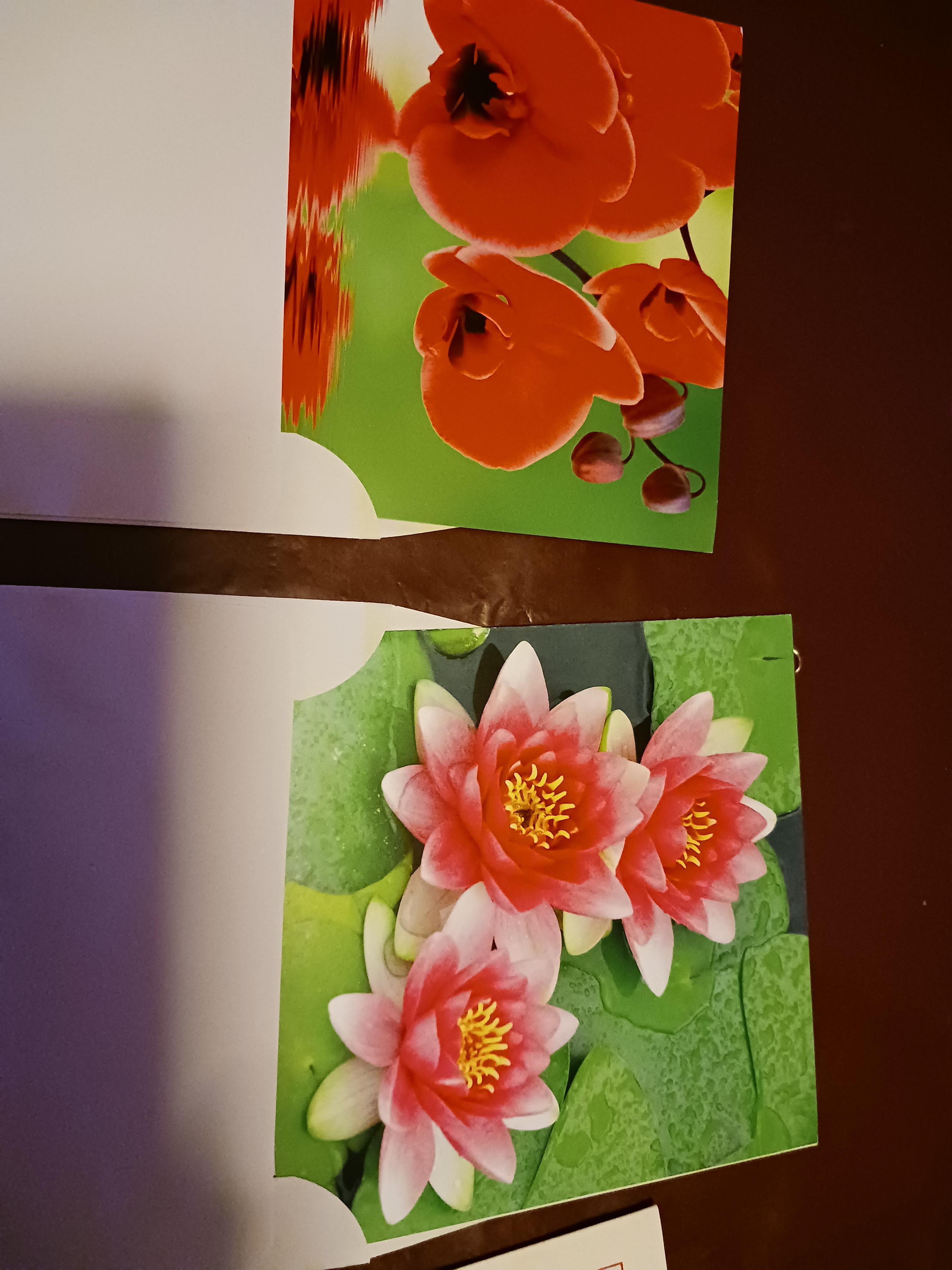 troc de troc lot de 3 cartes fleurs lot 2 image 1